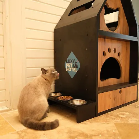 Nirvana Dolce Üdülőközpont 5*